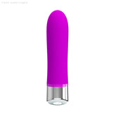 Sampson Bullet Vibrator